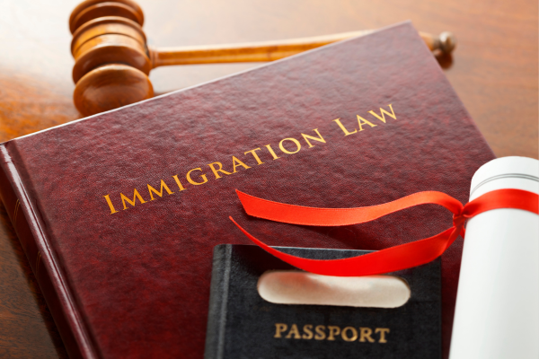 immigration law book, passport, gavel