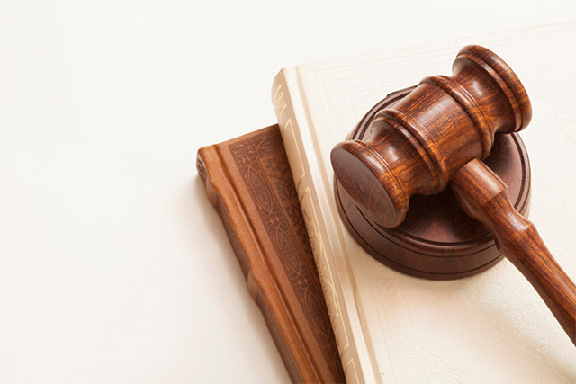 Appellate Advocacy 2025