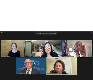 The Bar Association of the District of Columbia (BADC) commemorated Asian American and Pacific Islander Heritage Month on May 20 with a fireside chat with former D.C. Bar President Shirley Ann Higuchi, author of Setsuko’s Secret.