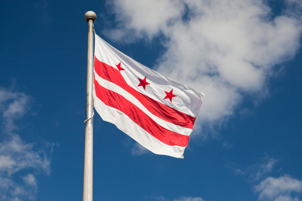 DC flag