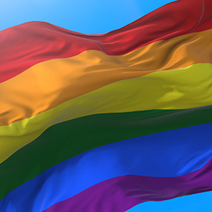LGBTQ Flag